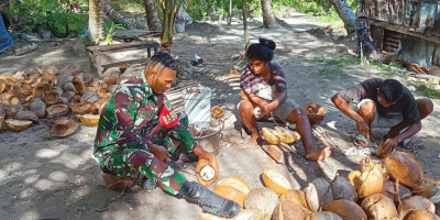 Peduli Ekonomi Rakyat, Babinsa Supiori Bantu Warga Olah Kelapa Jadi Kopra