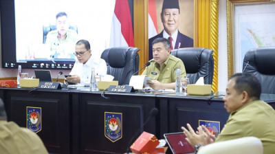 Pemerintah Minta Pemda Optimalisasi Sawah Tadah Hujan untuk Swasembada Pangan