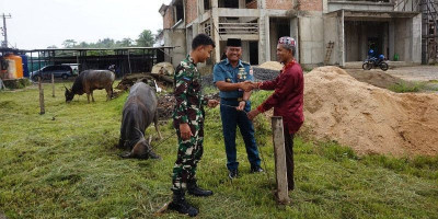 Koarmada III Salurkan Hewan Kurban untuk Warga Papua