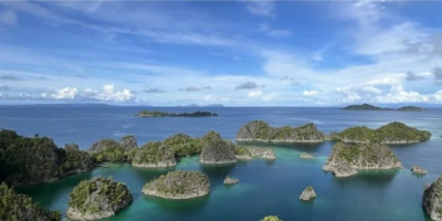 Dari Pagar Laut ke Tambang Nikel