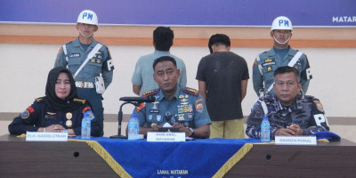 TNI AL Gagalkan Penyelundupan 51 Ribu Benih Lobster Ilegal di Perairan Sumbawa