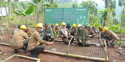 Perhutani Bandung Utara Tabur Benih Jati Unggul di Rajamandala