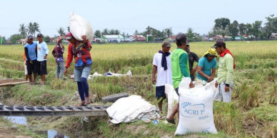 Gugus Tugas Kedaulatan Pangan TNI,  Perkuat Ketahanan dan Kemandirian Bangsa