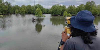 YKL Indonesia dan Bonebula Luncurkan Rehabilitasi Mangrove di Enam Desa Pesisir Donggala