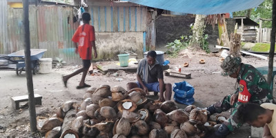 Dukung Ekonomi Warga, Babinsa Bantu Warganya Olah Kelapa Jadi Kopra