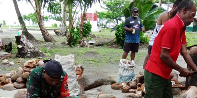 Dukung Peningkatan Ekonomi Warga, Babinsa Bantu Olah Kelapa Jadi Kopra
