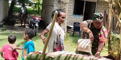 Tingkatkan Kesejahteraan Keluarga, Babinsa Supiori Bantu Warga Olah Sagu
