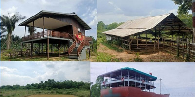 Sekda Kutai Timur Diduga Kuasai Lahan Taman Nasional dan Rusak Hutan Bakau