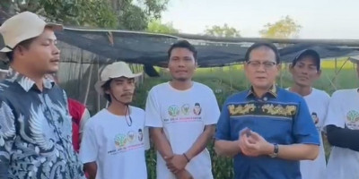 Hijaukan Pesisir, Sejahterakan Nelayan: Prof. Rokhmin Dorong 50.000 Bibit Mangrove untuk Tanjakan Indramayu 