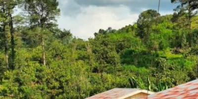 Disepakati  Kawasan Transmigrasi Lepas Dari Kawasan Hutan