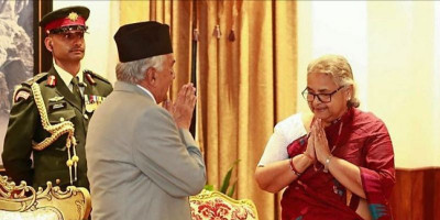 Demokrasi Discord Nepal, Baliho Indonesia