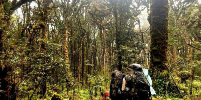 Mapala UI Tuntaskan Ekspedisi Satria Hutan Indonesia 2025 di Gunung Patah
