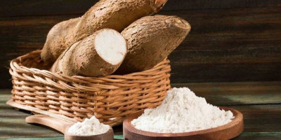 Rahasia Pati: Si Pengental Alami yang Bikin Makanan Kenyal