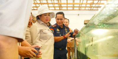 PSDKP Bersama DPR RI Edukasi Pelaku Usaha Arwana Kalbar
