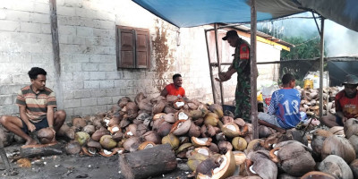 Dukung Peningkatan Ekonomi, Babinsa Bantu Warga Olah Kelapa Jadi Kopra