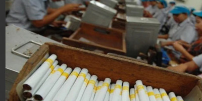 Monopoli Pasar Rokok: Petani Tembakau dan UMKM Terjepit Aturan
