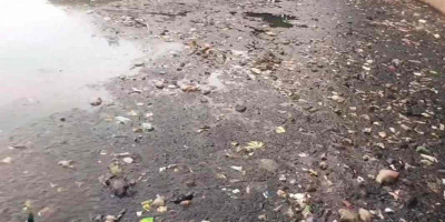 KOPLING Dorong Pemkot Depok Ambil Langkah Serius Pulihkan Situ Bahar Cilodong
