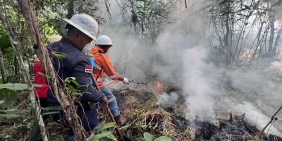 NHM Gelar Simulasi Tanggap Darurat, Perkuat Kesiapsiagaan Hadapi Karhutla