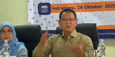 Prof. Rokhmin Dahuri Ungkap Strategi Tiga Pilar untuk Majukan Peternakan Ayam Petelur Nasional