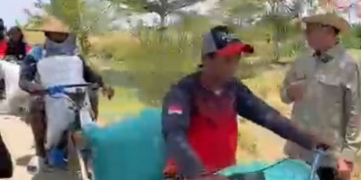 Apresiasi Keberhasilan Benih Unggul di Desa Bunder, Prof. Rokhmin: Alhamdulillah Hasilnya Nyata, Semoga Petani Kita Makin Sejahtera