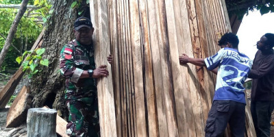 Sinergi TNI-Rakyat, Babinsa Numfor Bantu Angkat Kayu untuk Pembangunan Rumah Warga