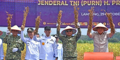 Panglima TNI Dampingi Menhan RI Tinjau Panen Kedelai Garuda Merah Putih di Lampung Utara