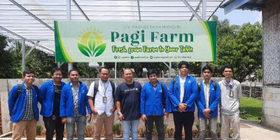 Tanam Harapan di Tengah Beton: UPER Hadirkan Urban Farming yang Ramah Lingkungan