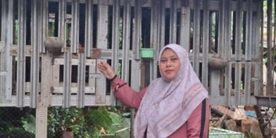 Transformasi Peternakan Rakyat: Gerakkan Ketahanan Pangan dari Desa untuk Indonesia