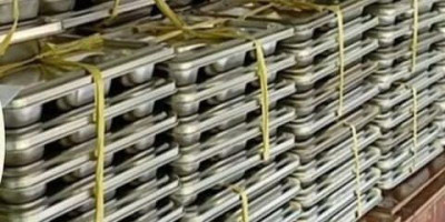 Peningkatan Kualitas Komunikasi Program Makan Bergizi Gratis: Solusi terbaik saat ini