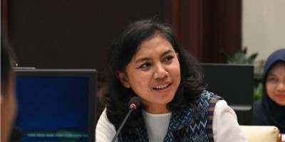 Irine Yustina Dorong Supir Taksi Online Perkosa Penumpang Dijerat UU TPKS