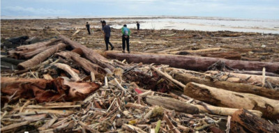 Fakta Kayu Gelondongan, Fraksi PKB Dorong Pembentukan Pansus Pembalakan Liar