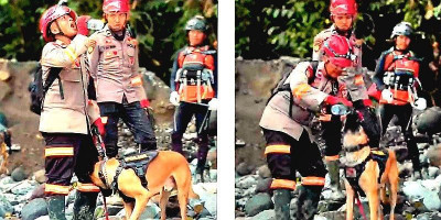 Dipeluk Arus, Disatukan Kesetiaan: Kisah Haru K-9 di Zona Bencana