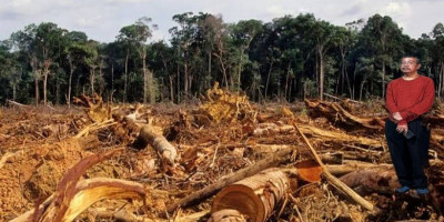 Aktivis TRAMP Soroti Ancaman Serius Kerusakan Hutan Indonesia