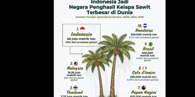 Jejak Ironi Sawit Negeri Sendiri
