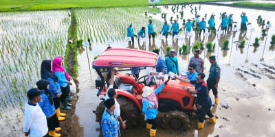 PGN - BRIN - Pemda Jepara Dorong Ketahanan Pangan Pesisir Jepara Lewat Budidaya Padi Biosalin