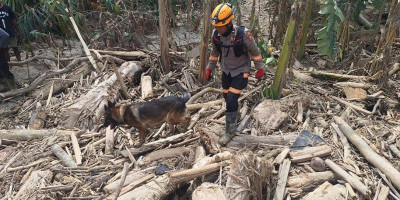Satwa K-9 Turun Tangan, Misteri di Sungai Aceh Tamiang Terungkap