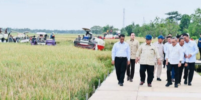 Dari Sawah Karawang, Prabowo Bangkitkan Kejayaan Pangan 