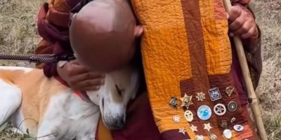 Mengapa Anjing Ini Mengikuti Biksu ke Amerika?