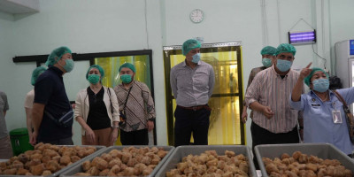 Indonesia Balikkan Peta: Jepang Studi Banding Program MBG Capai 60 Juta Anak