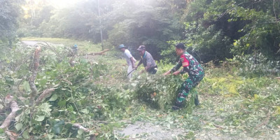 Pohon Tumbang Tutup Jalan Fanindi, Babinsa dan Warga Bergerak Cepat Lakukan Pembersihan