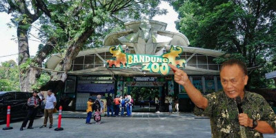 Saurip Kadi: Penutupan Bonbin Bandung Janggal, Berpotensi Langgar Arahan Presiden