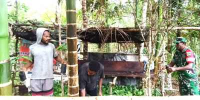 Menjadi Sahabat Petani, Babinsa Biak Utara Dampingi Perawatan Bibit Kopi Robusta