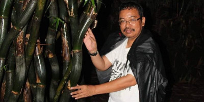 Bambu Mirip Keris di Wonosobo, Misterinya Bikin Penasaran