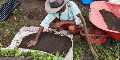 Tokoh Papua Selatan Apresiasi Dedikasi Petani Hortikultura Sota
