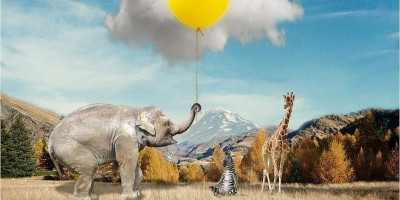 Fungsi dan Evolusi Belalai Gajah