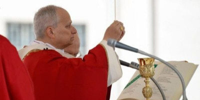 Paus Leo XIV Serukan Damai di Minggu Palma