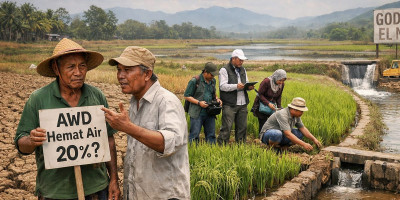 Ketika Air Menipis Petani Menggugat Ketangguhan AWD
