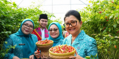 Green Z Indonesia Dukung Ketahanan Pangan Melalui Panen Raya di Cakung