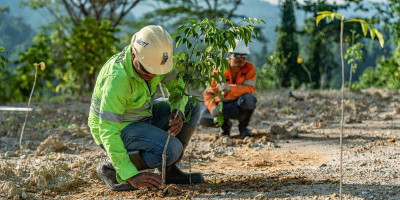 Bukan Sekadar Produksi, NHM Fokus Pulihkan Ekosistem Pascatambang