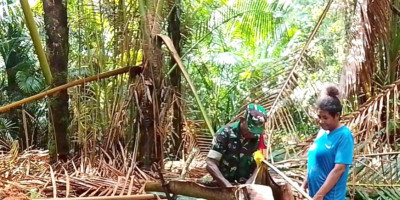 Babinsa Supiori Selatan ke Dusun Sagu Bantu Warga Olah Sagu